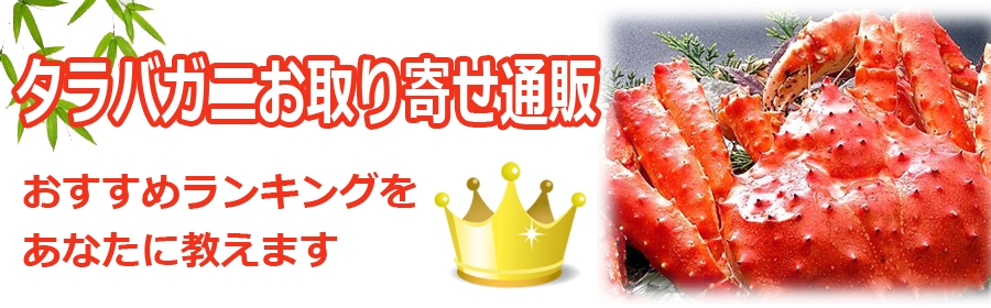 y2024z^oKj񂹒ʔ̂̂߃LOIsȂIѕ